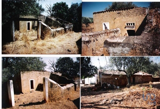 Quinto a Estremoz, Évora