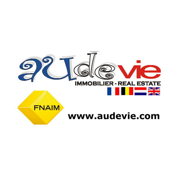 company logo : audevie