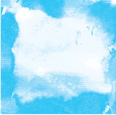 company logo : Blue White Consulting