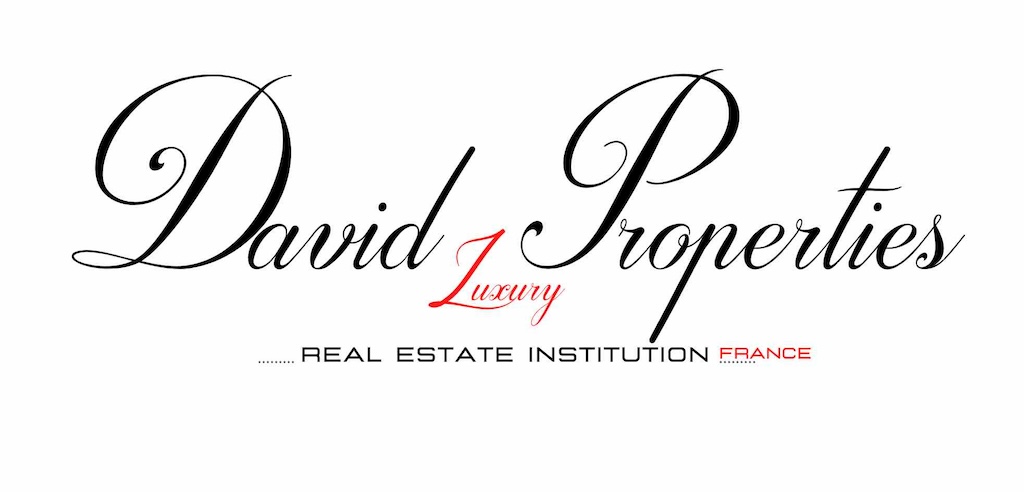 David Luxury Properties