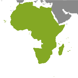 Nekretnine Afrika