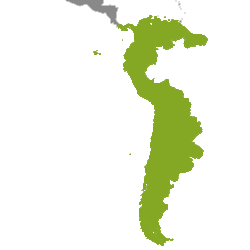 Nemovitosti: South America