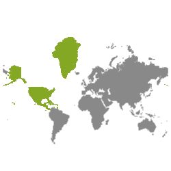 Onroerend goed Noord-Amerika