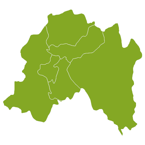 Nieruchomość Region Metropolitalny