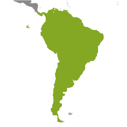 Property South America