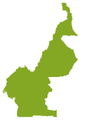 Property Cameroon