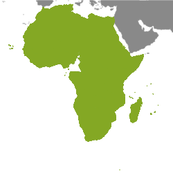 Property Africa