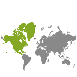 Onroerend goed Noord-Amerika