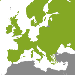 Immobilie Europa