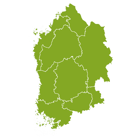 Immobilie Western Finland