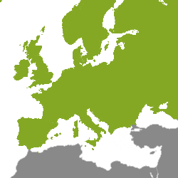 Nekretnine Europa