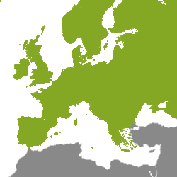 Eiendom Europa