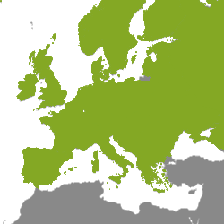 Nekretnine Europa