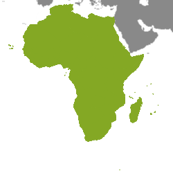 Nemovitosti: Africa