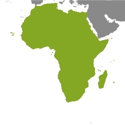 Nemovitosti: Africa