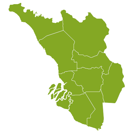 Kiinteistövälitys Selangor