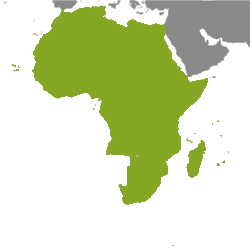 Property Africa