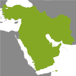 Property Middle East