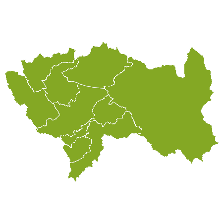 Nieruchomość Region Junín