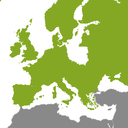 Nekretnine Europa