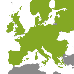 Immobilie Europa