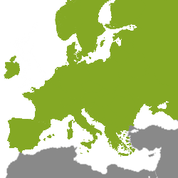 Nekretnine Europa