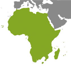 Immobiliare Africa